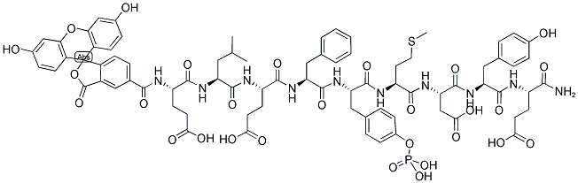 5-FAM-ELEF-PY-MDYE-NH2 Struktur