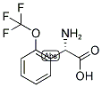 (S)-AMINO-(2-TRIFLUOROMETHOXY-PHENYL)-ACETIC ACID Struktur