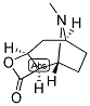 ANHYDROECGONINE Struktur