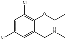 1-(3,5-DICHLORO-2-ETHOXYPHENYL)-N-METHYLMETHANAMINE Struktur