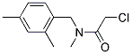 2-CHLORO-N-(2,4-DIMETHYLBENZYL)-N-METHYLACETAMIDE Struktur