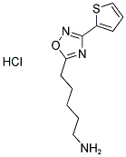 5-(3-THIEN-2-YL-1,2,4-OXADIAZOL-5-YL)PENTAN-1-AMINE HYDROCHLORIDE Struktur