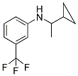 N-(1-CYCLOPROPYLETHYL)-N-[3-(TRIFLUOROMETHYL)PHENYL]AMINE Struktur