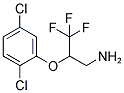 2-(2,5-DICHLORO-PHENOXY)-3,3,3-TRIFLUORO-PROPYLAMINE Struktur