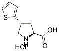 (+/-)-TRANS-4-(2-THIENYL)PYRROLIDINE-3-CARBOXYLIC ACID HYDROCHLORIDE Struktur