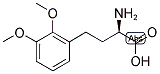 (R)-2-AMINO-4-(2,3-DIMETHOXY-PHENYL)-BUTYRIC ACID Struktur