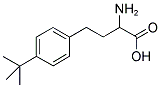 2-AMINO-4-(4-TERT-BUTYL-PHENYL)-BUTYRIC ACID Struktur