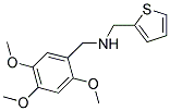 1-THIEN-2-YL-N-(2,4,5-TRIMETHOXYBENZYL)METHANAMINE Struktur