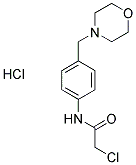 2-CHLORO-N-[4-(MORPHOLIN-4-YLMETHYL)PHENYL]ACETAMIDE HYDROCHLORIDE Struktur