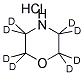 MORPHOLINE-2,2,3,3,5,5,6,6-D8 HYDROCHLORIDE Struktur