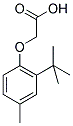 (2-TERT-BUTYL-4-METHYLPHENOXY)ACETIC ACID Struktur