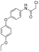 2-CHLORO-N-[4-(4-ETHOXYPHENOXY)PHENYL]ACETAMIDE Struktur