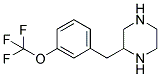 2-(3-TRIFLUOROMETHOXY-BENZYL)-PIPERAZINE Struktur