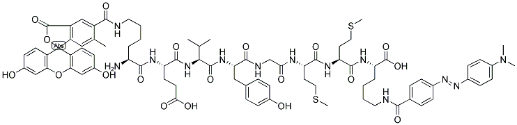 H-K(FAM)-EVY APPROX GMMK(DABCYL)-OH Struktur