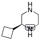 (S)-2-CYCLOBUTYL-PIPERAZINE Struktur