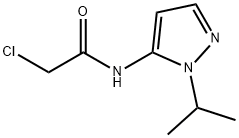 2-CHLORO-N-(2-ISOPROPYL-2H-PYRAZOL-3-YL)-ACETAMIDE Struktur