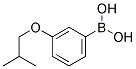 3-ISOBUTOXYPHENYLBORONIC ACID Struktur