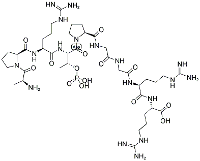 APR-PT-PGGRR Struktur