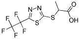 2-([5-(1,1,2,2,2-PENTAFLUOROETHYL)-1,3,4-THIADIAZOL-2-YL]SULFANYL)PROPANOIC ACID Struktur