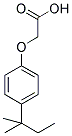 [4-(1,1-DIMETHYLPROPYL)PHENOXY]ACETIC ACID Struktur