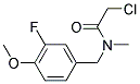 2-CHLORO-N-(3-FLUORO-4-METHOXYBENZYL)-N-METHYLACETAMIDE Struktur