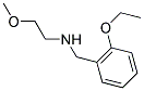 N-(2-ETHOXYBENZYL)-2-METHOXYETHANAMINE Struktur