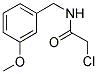 2-CHLORO-N-(3-METHOXY-BENZYL)-ACETAMIDE Struktur