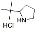 2-TERT-BUTYLPYRROLIDINE HYDROCHLORIDE Struktur