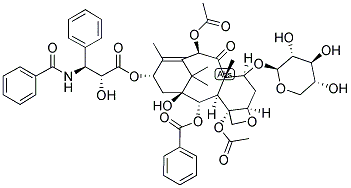 XYLOSYLTAXOL, 7 Struktur