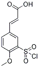 (2E)-3-[3-(CHLOROSULFONYL)-4-METHOXYPHENYL]ACRYLIC ACID Struktur