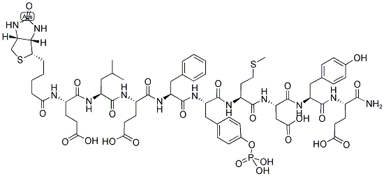 BIOTIN-ELEF-PY-MDYE-NH2 Struktur