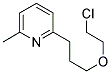 2-[3-(2-CHLORO-ETHOXY)-PROPYL]-6-METHYL-PYRIDINE Struktur