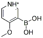 3-(DIHYDROXYBORYL)-4-METHOXYPYRIDINIUM Struktur