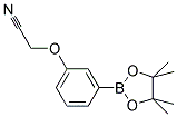 3-CYANOMETHOXY-PHENYLBORONIC ACID, PINACOL ESTER Struktur