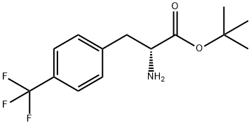 (R)-4-(TRIFLUOROMETHYL)PHENYLALANINE T-BUTYL ESTER Struktur