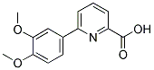 6-(3,4-DIMETHOXYPHENYL)PYRIDINE-2-CARBOXYLIC Struktur