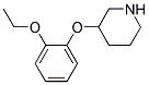 3-(2-ETHOXYPHENOXY)PIPERIDINE Struktur