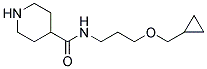 N-[3-(CYCLOPROPYLMETHOXY)PROPYL]PIPERIDINE-4-CARBOXAMIDE Struktur