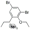 (1R)-1-(3,5-DIBROMO-2-ETHOXYPHENYL)PROPYLAMINE Struktur