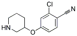 2-CHLORO-4-(PIPERIDIN-3-YLOXY)-BENZONITRILE Struktur