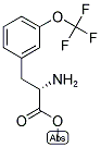 METHYL (2S)-2-AMINO-3-[3-(TRIFLUOROMETHOXY)PHENYL]PROPANOATE Struktur