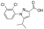 1-(2,3-DICHLORO-PHENYL)-5-ISOPROPYL-1H-PYRAZOLE-3-CARBOXYLIC ACID Struktur