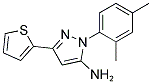 1-(2,4-DIMETHYLPHENYL)-3-THIEN-2-YL-1H-PYRAZOL-5-AMINE Struktur