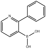 2-PHENYLPYRIDINE-3-BORONIC ACID Struktur