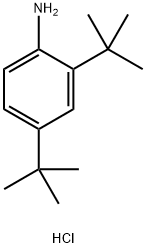 2,4-DI-TERT-BUTYLANILINE HYDROCHLORIDE Struktur