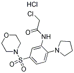 2-CHLORO-N-[5-(MORPHOLIN-4-YLSULFONYL)-2-PYRROLIDIN-1-YLPHENYL]ACETAMIDE HYDROCHLORIDE Struktur