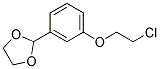 2-[3-(2-CHLOROETHOXY)PHENYL]-[1,3]-DIOXOLANE Struktur