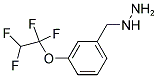 [3-(1,1,2,2-TETRAFLUORO-ETHOXY)-BENZYL]-HYDRAZINE Struktur