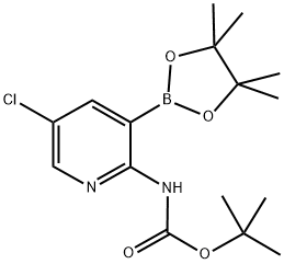 2-TERT-BUTYLOXYCARBONYLAMINO-5-CHLOROPYRIDINE-3-BORONIC ACID PINACOL ESTER Struktur