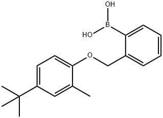 2-[(4'-TERT-BUTYL-2'-METHYLPHENOXY)METHYL]PHENYLBORONIC ACID Struktur